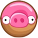 Donut Pig