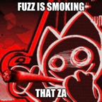 Fuzz The Cat
